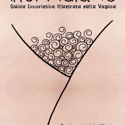 il Fuffidiario